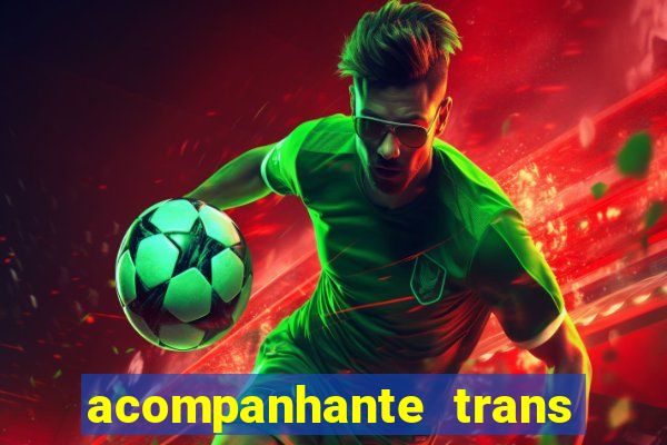 acompanhante trans em santos